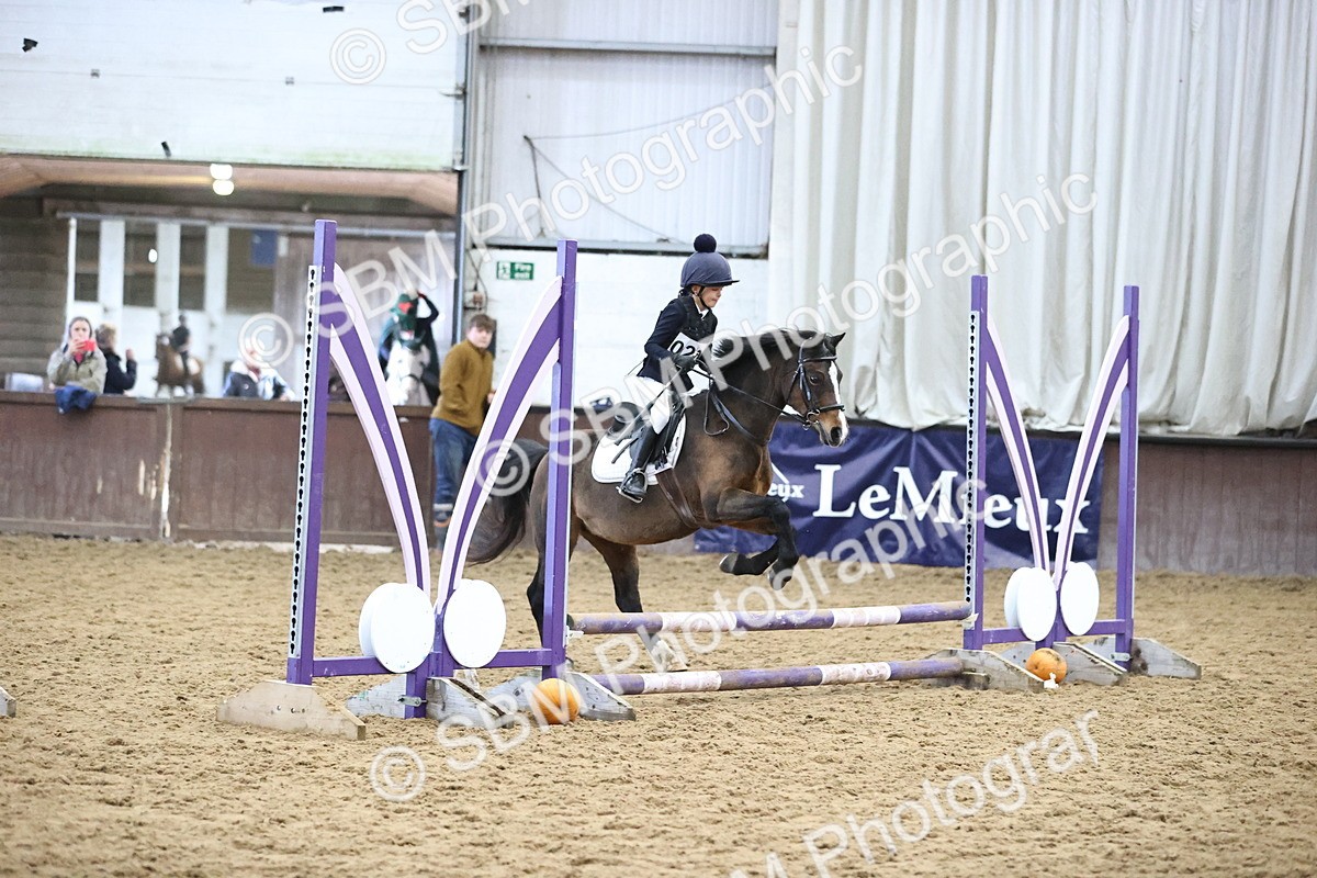 SBM_000598 - Class 2 - Show Jumping 50cm