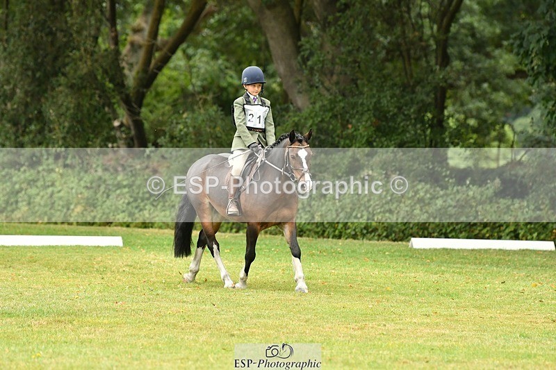 250820A-111211-04922 - 11am to 12