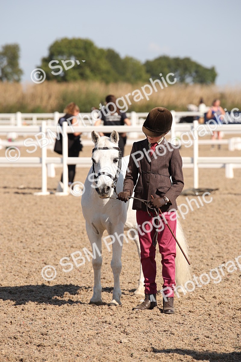 SBM_02715 - Class 16 IH M&M Wildcard