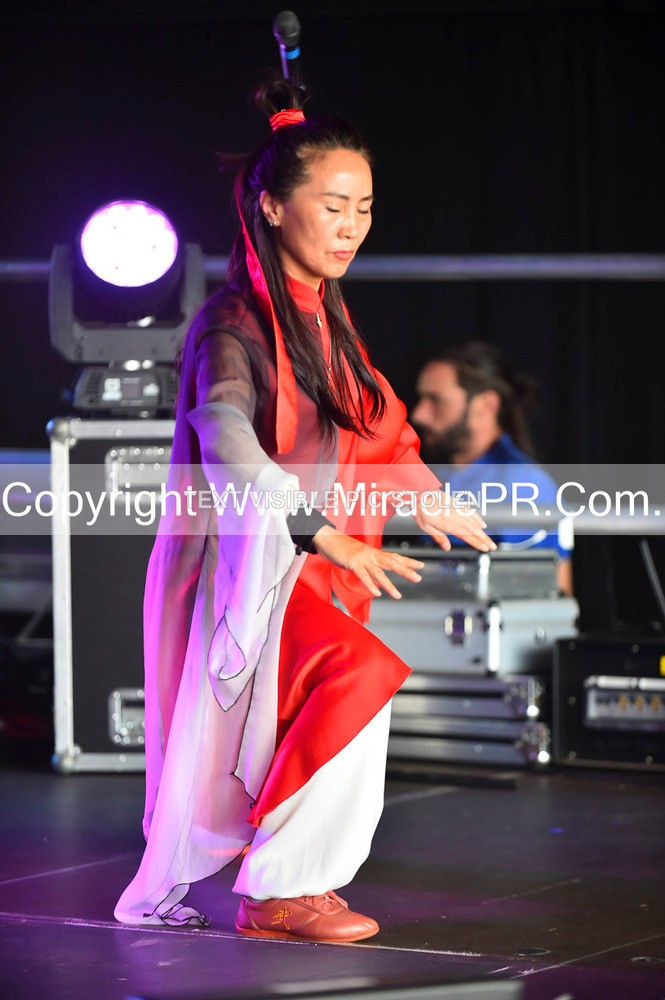 SH4_1453 - Tai Chi with Lisa Kay.