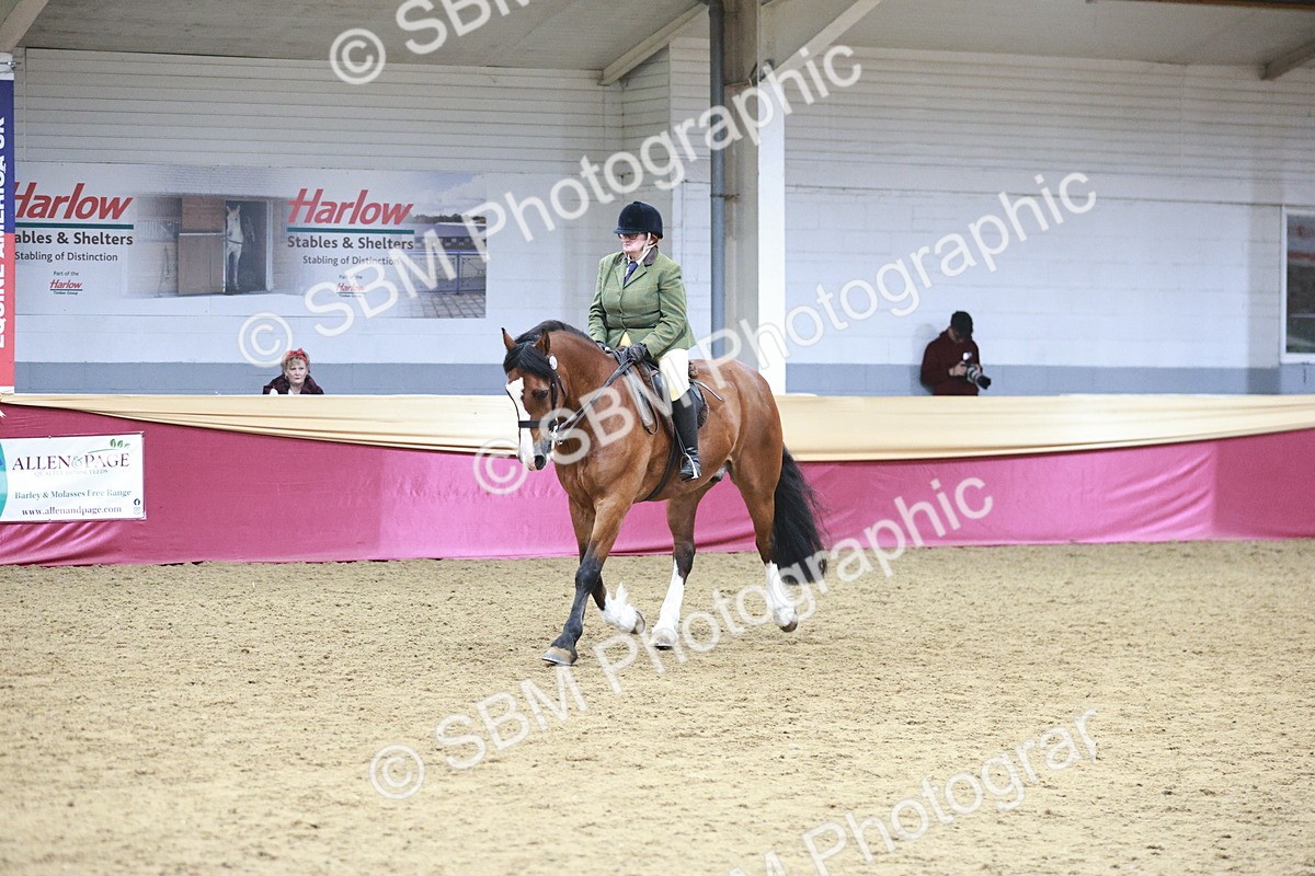 SBM_08947 - Class 12R - Regional Ridden Pre-Vet