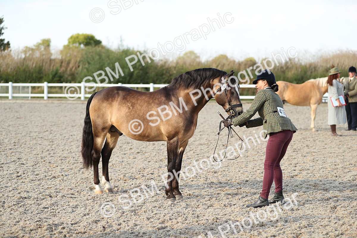 SBM_08942 - Class 29 IH Veteran Pony