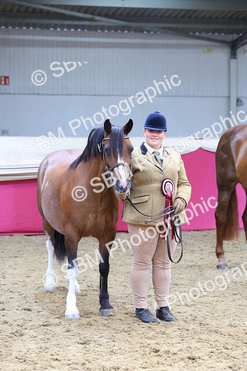 SBM_22930 - Class 903 - Supreme Final - IH Pre Vet