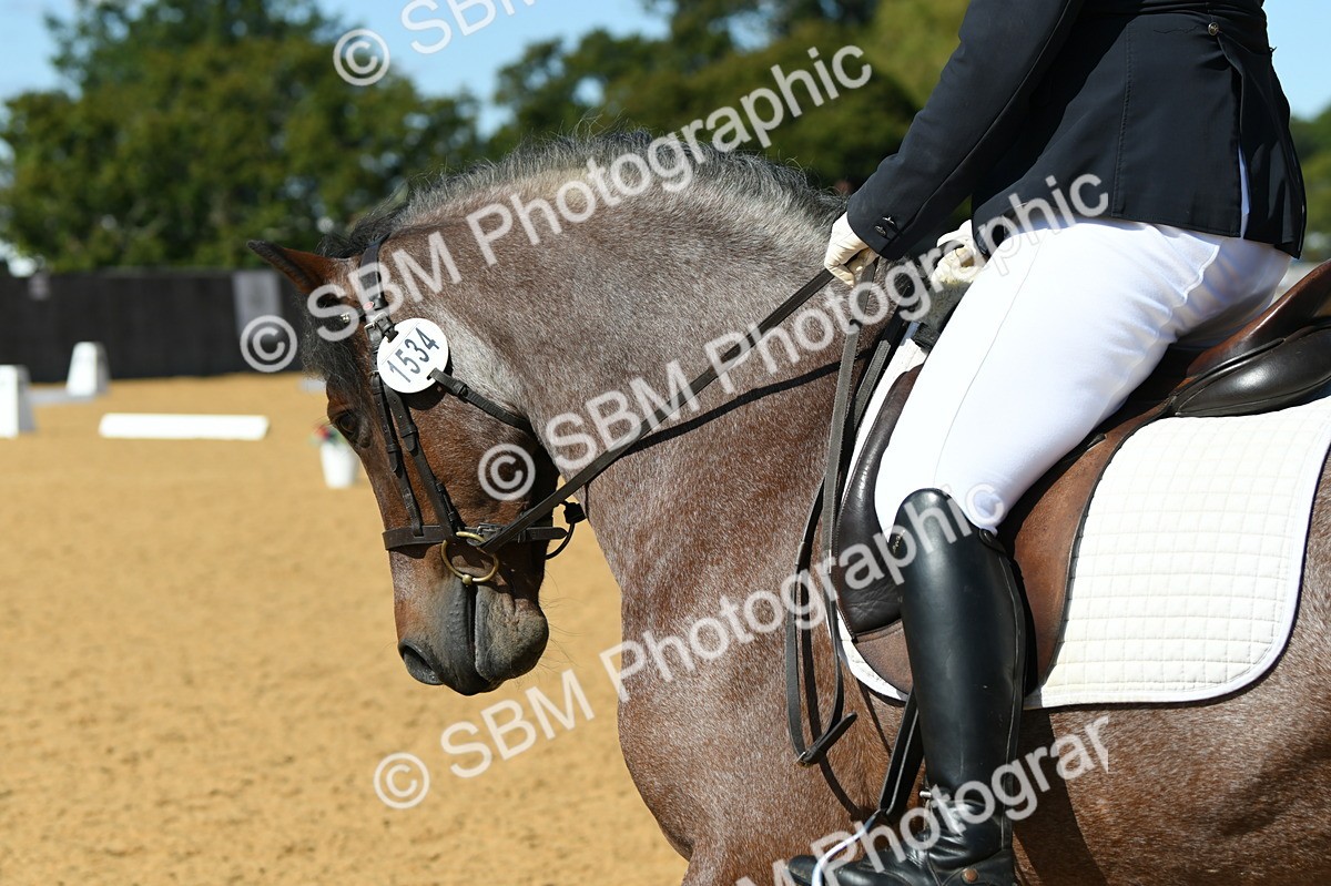 SBM_24749 - D13 - Grand Tour Championship - Prelim 12