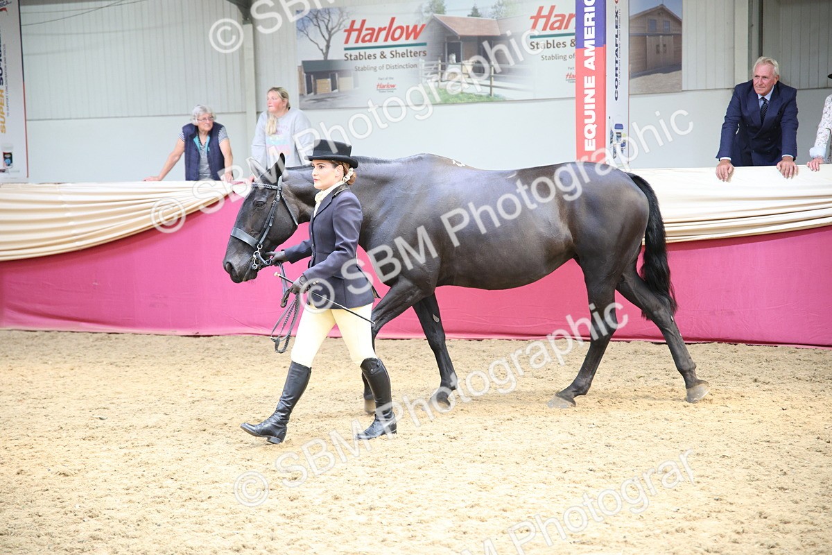 SBM_24244 - Class 905 - Supreme Final - Ridden Veteran