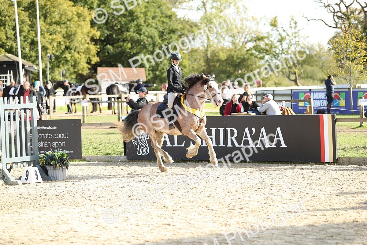SBM_49674 - J22 - Junior Horse 65cm Championship