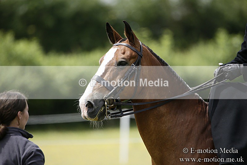 BVR160717-1606 - Side Saddle Classes 16/07/17