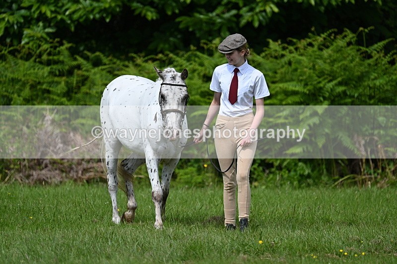 WJ7_1292 - Class 11 Condition & Turnout