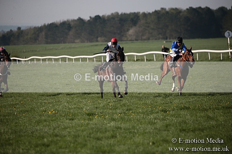 PtP 210418 631 - South & West Wilts Point-to-Point Larkhill 21/04/18