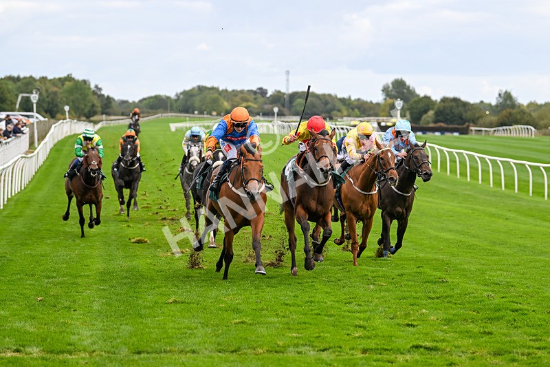 021024-Race 5-Homer Stokes-9538 - Race 5