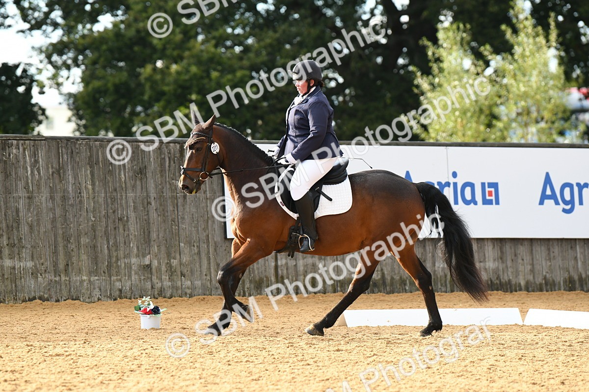 SBM_12556 - D19 Small Tour Championship Elementary 42
