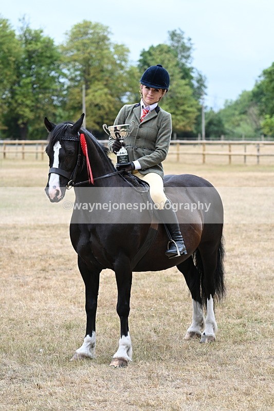 WJ7_1050 - Photo Shoots