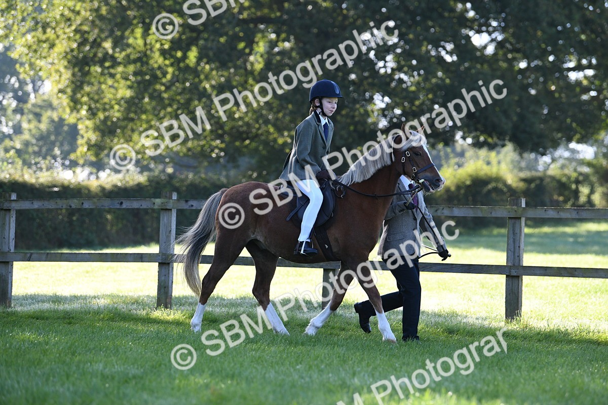 SBM_35355 - S17 - Condition & Turnout - Lead Rein