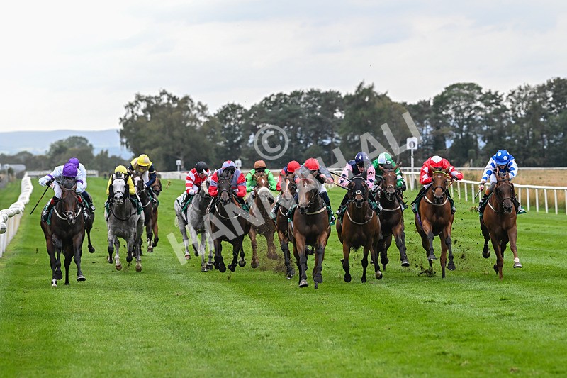 060925-Race 5-Eternal Sunshine-5847 - Race 5