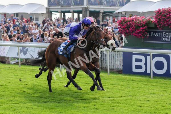 yr05092021r4-21 - Race 4 3.45pm Coopers Marquees British EBF Future Stayers' Novice Stakes