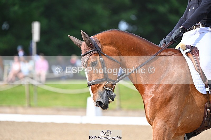 250523A-093245-05261 - C-257-Mark.Davidson-NO.LIMITS.DAMERLOO