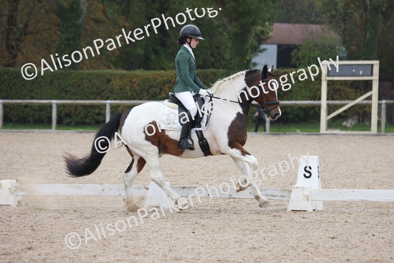 20251012-0594 - Class 5 - Elementary 5