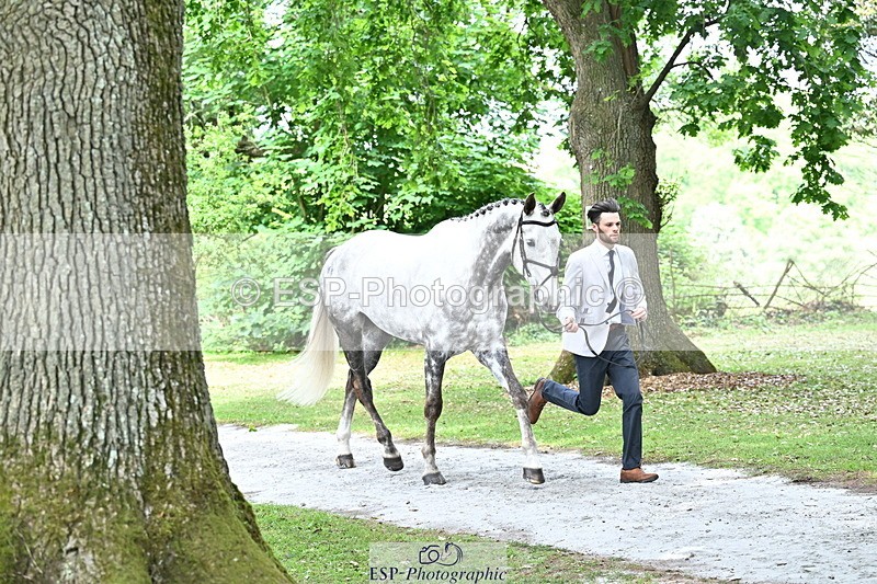 250521A-152518-00496 - B-311-Barnie.Brotherton-WHIXLEY.QUALITAS