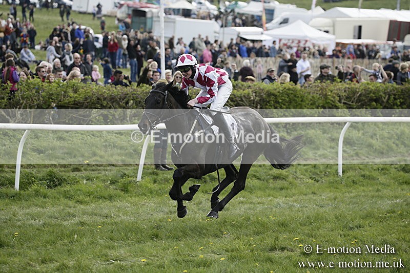 PtP 170417 363 - Old Berks Point-to-Point Lockinge 17/04/17