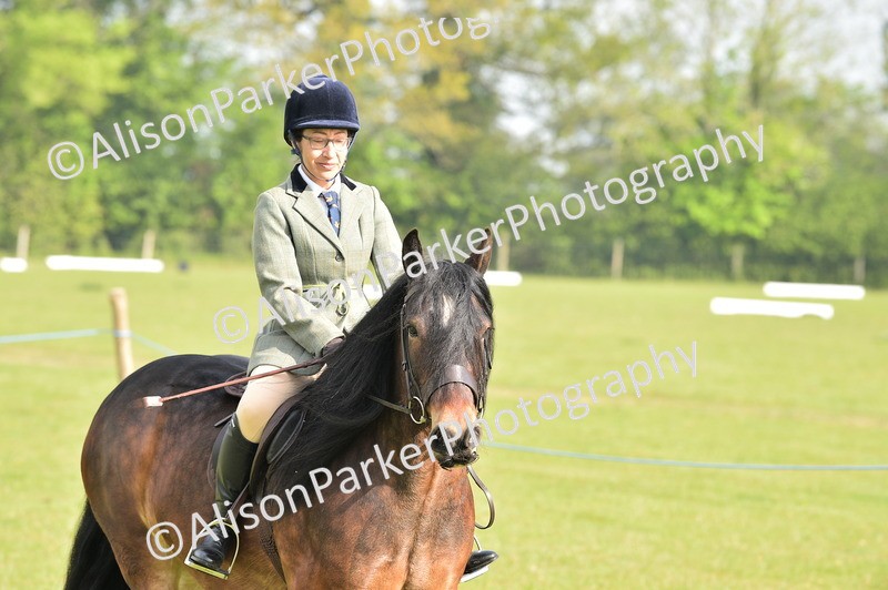20260426-0857 - Class 18 - Novice Showing