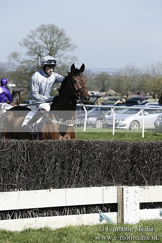 PtP 260317 38 - Mendip Farmers Point-to-Point Ston Easton 26/03/17