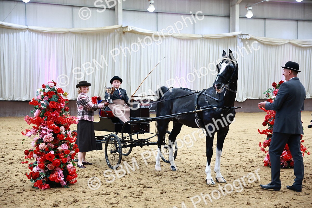 0B8A3925 - Class 13  - HHS Championship Intl Hackney Horse to a Show Wagon