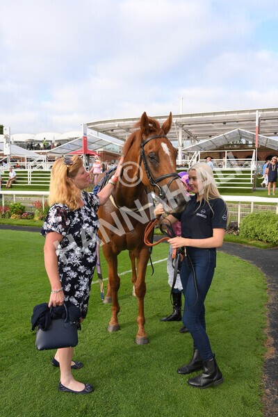 yr23072021r2-41 - Race 2 6.30pm IRE-Incentive It Pays To Buy Irish Stakes