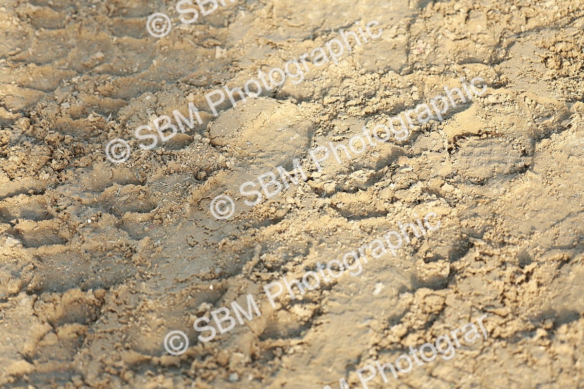 SBM_008953 - Class 6 - National 1.30m 1.40m Open Handicap