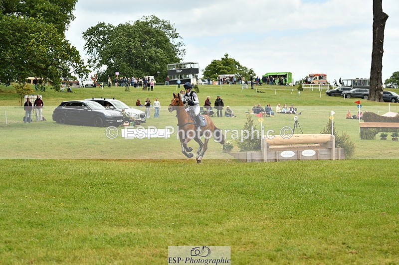 250525A-125125-16716 - D-453-Daisy.Berkeley-DIESE.DU.FIGUIER