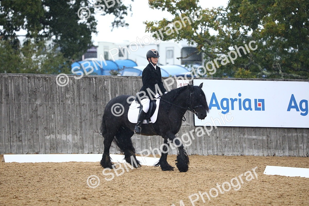SBM_42830 - D21 - Junior Championship Intro 1