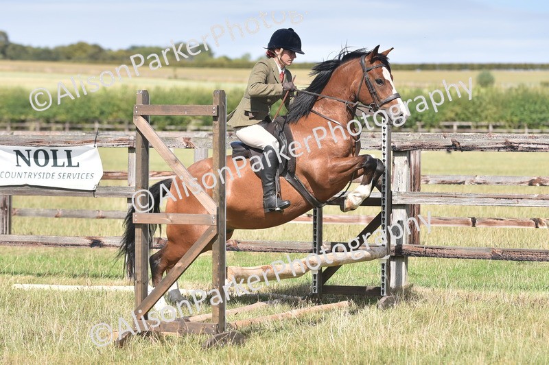 20260906-2614 - Class 12 - 14.2hh and Under