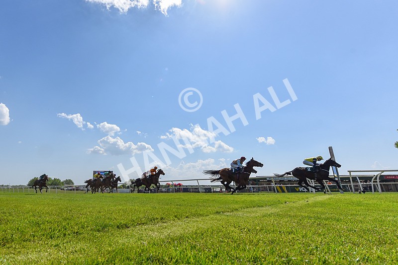 120525-Race 2-Far Ahead-1658 - Race 2