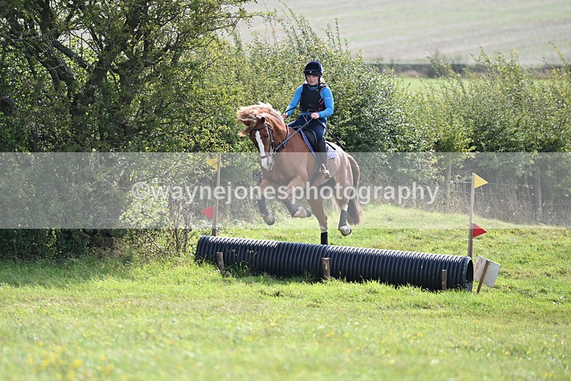 WJ6_7490 - Time 11:29 to 11:45