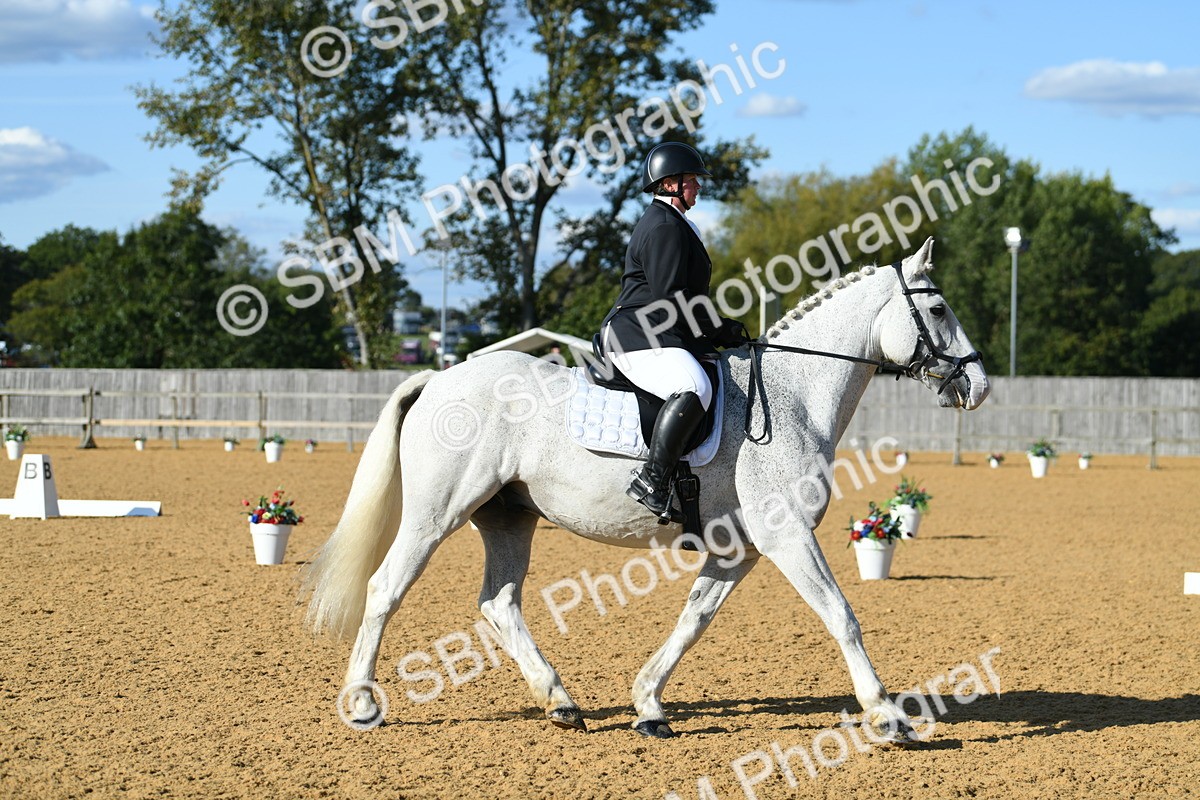 SBM_27263 - D16 - Small Tour Championship - Novice 28