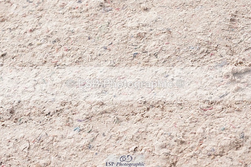 250425-090712-08304 - Cls 26 Young Horse 5yr old