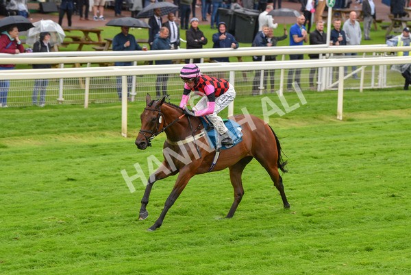 140723-Race 4-Andaleep-8257 - Race 4 3.50pm Azets Handicap