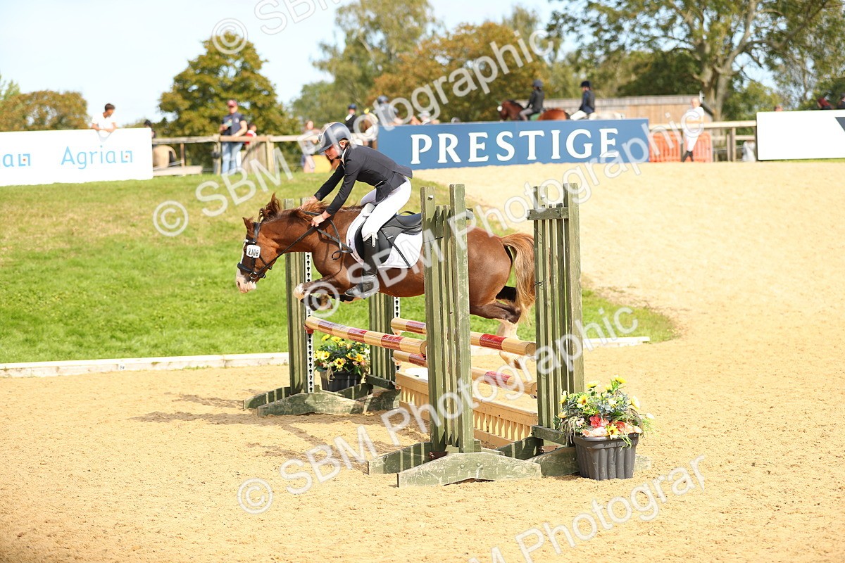 SBM_66104 - J17 - Junior Pony 80cm Championship