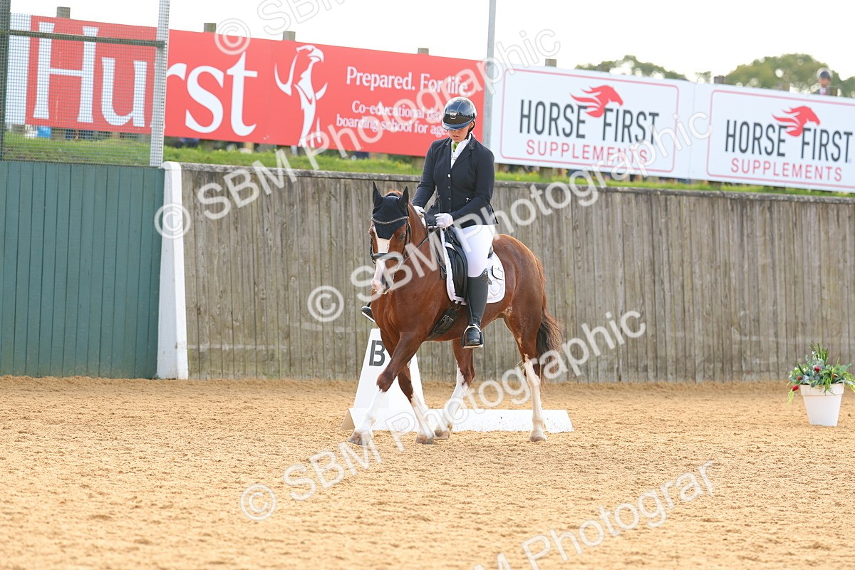 SBM_51200 - D12 - Small Tour Championship - Prelim 18