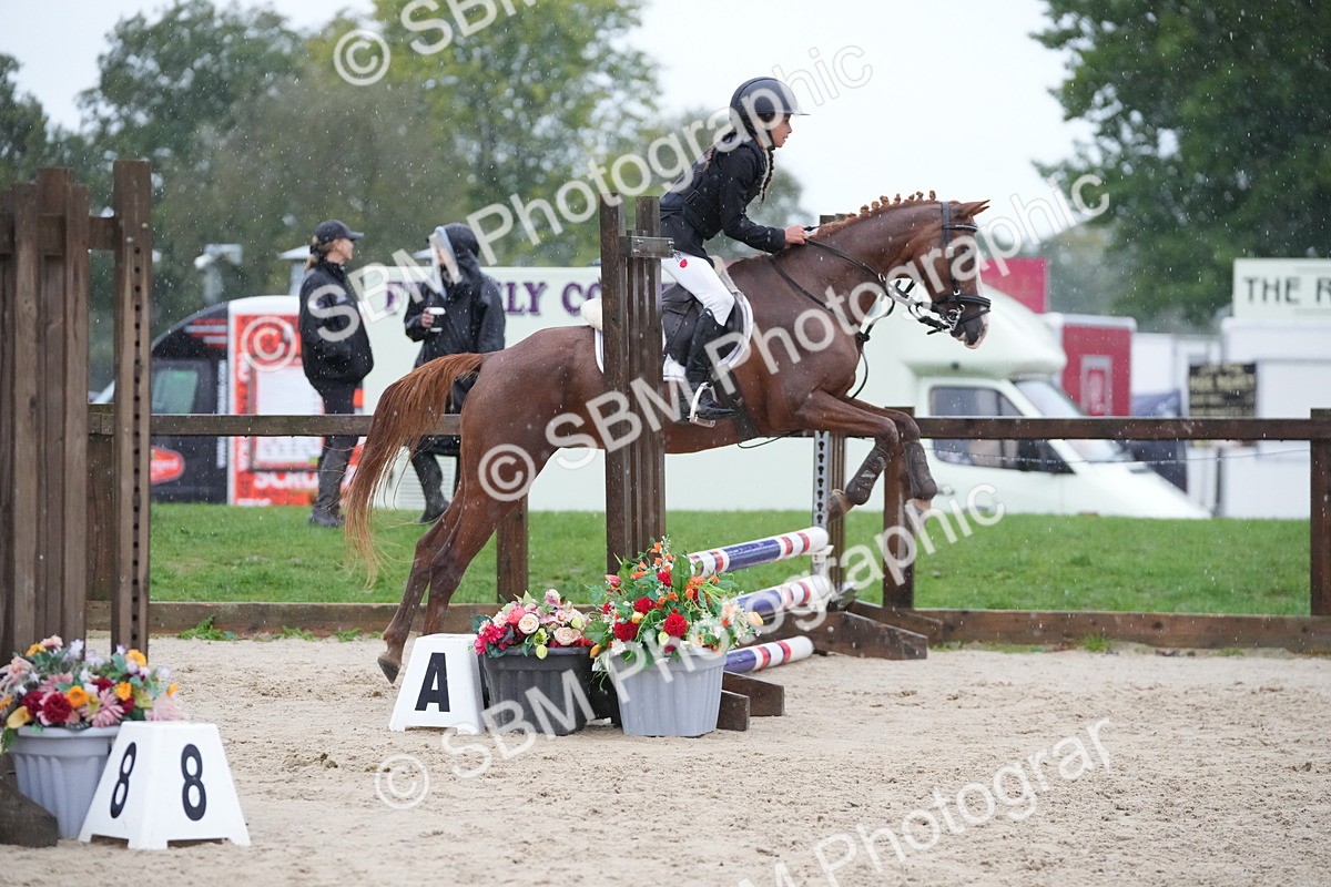 SBM_36189 - J5 - Junior Pony 50cm Championship