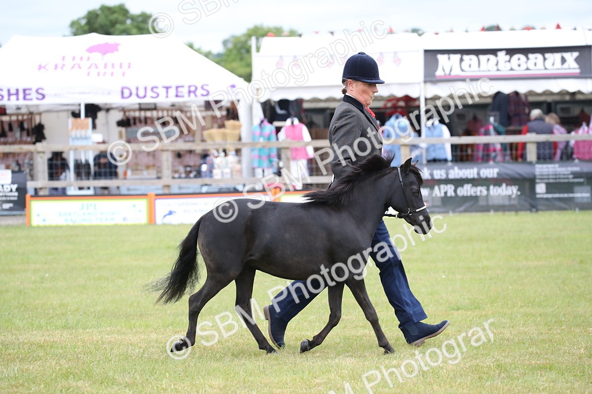 SBM_03496 - Class 23-25 - British Miniature Horse of the Year