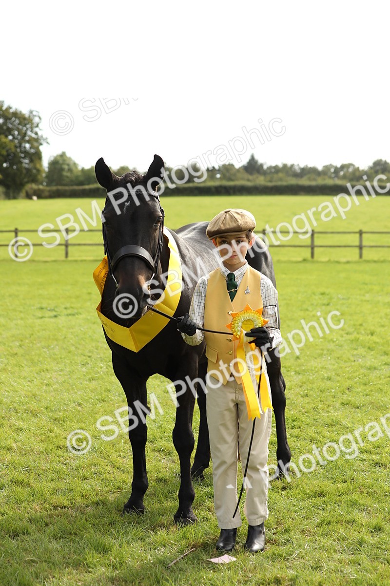 SBM_68734 - S40 - Junior Handler 9-12 Years
