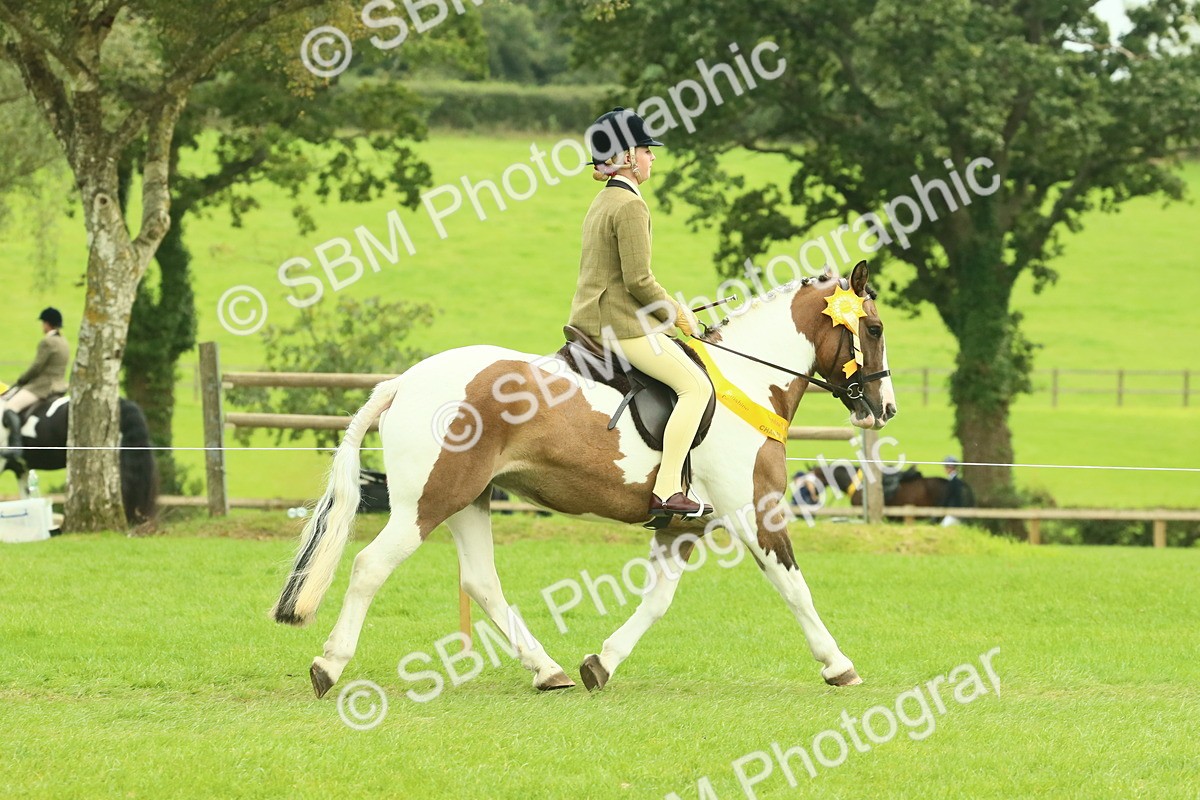 SBM_75001 - Ridden Pony Supreme Championship