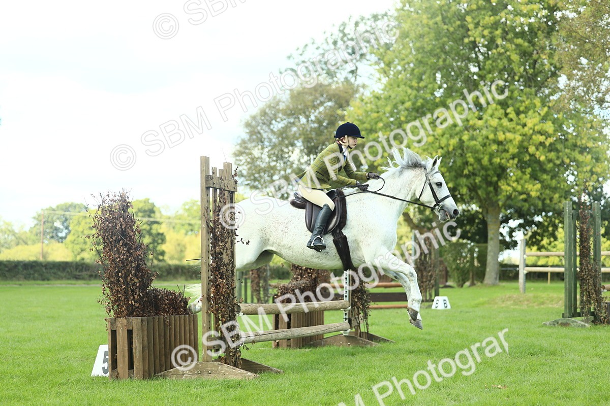 SBM_43034 - S30 - M&M Working hunter Pony