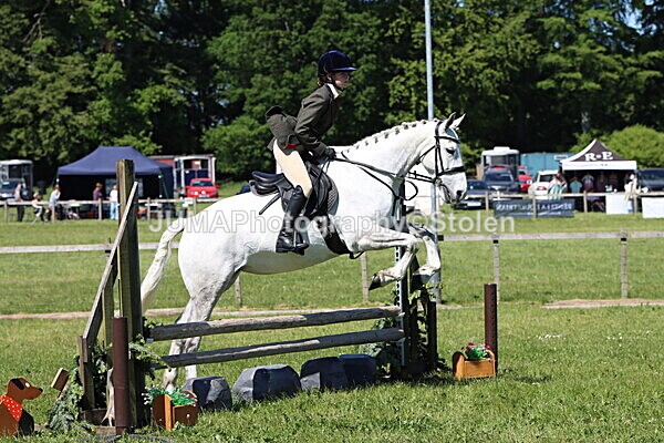 IMG_3968 - Working Hunter