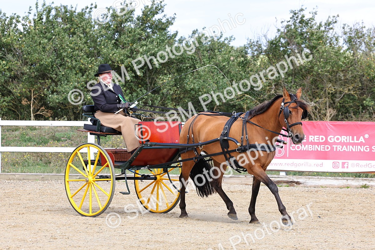 SBM_000957 - Class 8 - Novice Horse or Pony to any vehicle