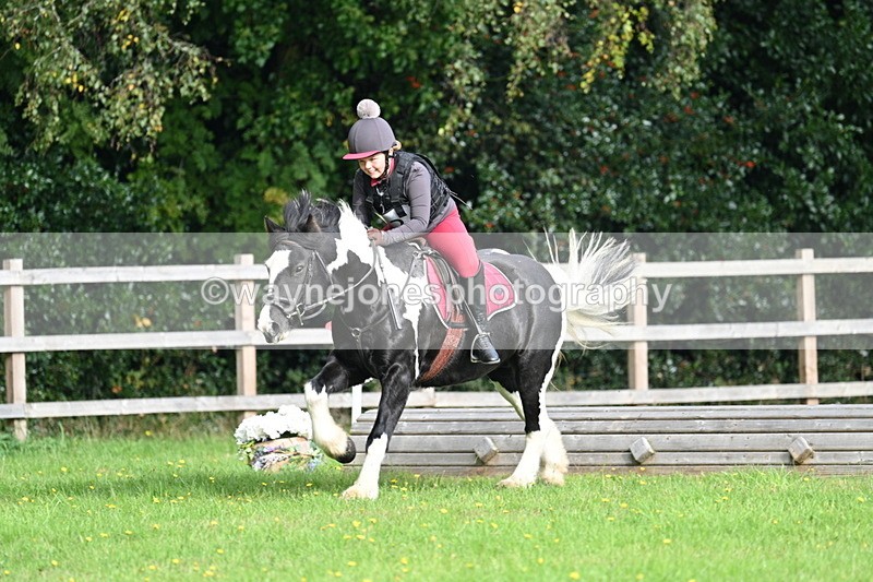 WJ7_3738 - 40cm Time 10:26 to 10:42