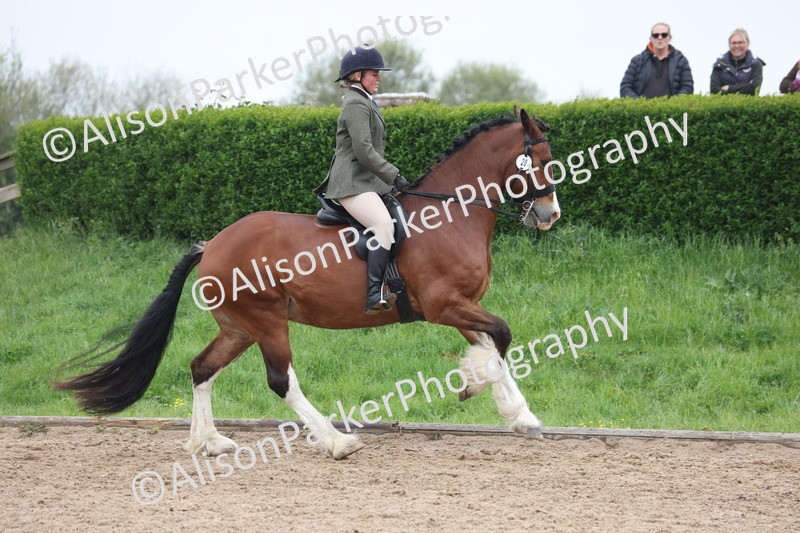 20260504-1110 - Class 14 - Cob and Hunter