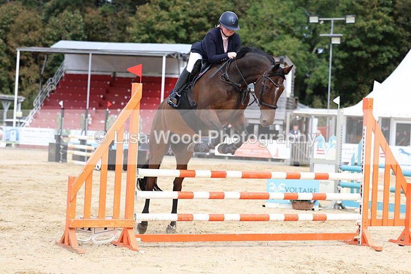 3E7A2289 - Class 4: Senior British Novice/90cm open