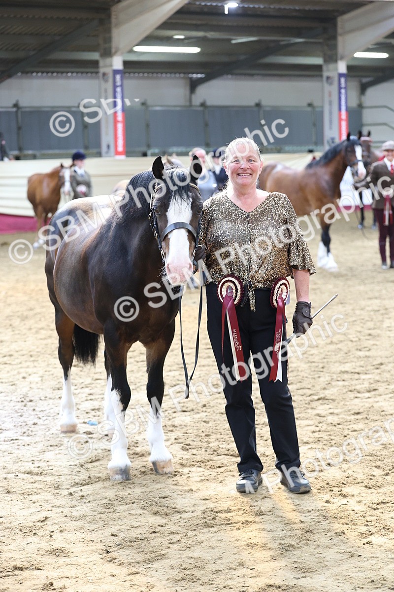 SBM_22589 - Class 902 - Supreme Final - IH Diamond