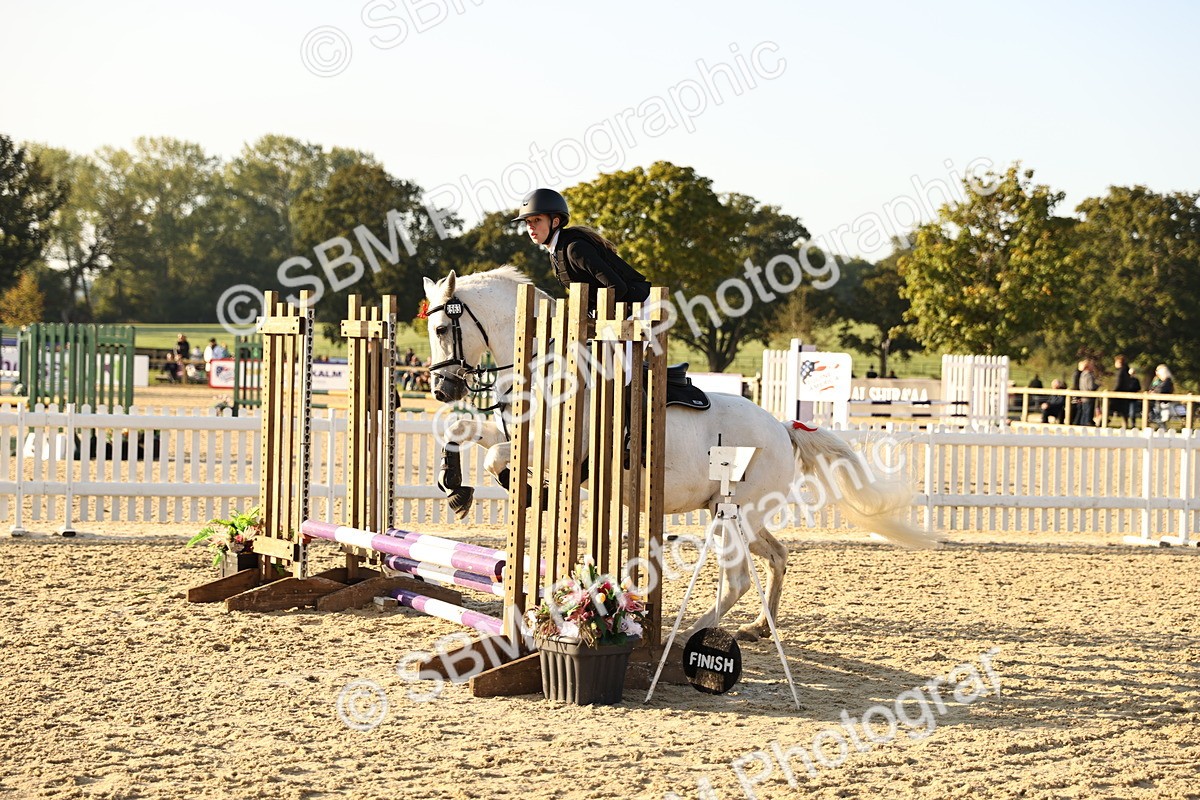 SBM_57210 - J11 - Junior Pony 50cm Championship